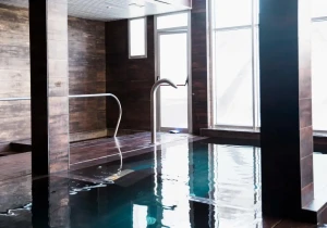 یکپارچگی سونای هوشمند با دستیارهای صوتی و سیستم خانه هوشمند 